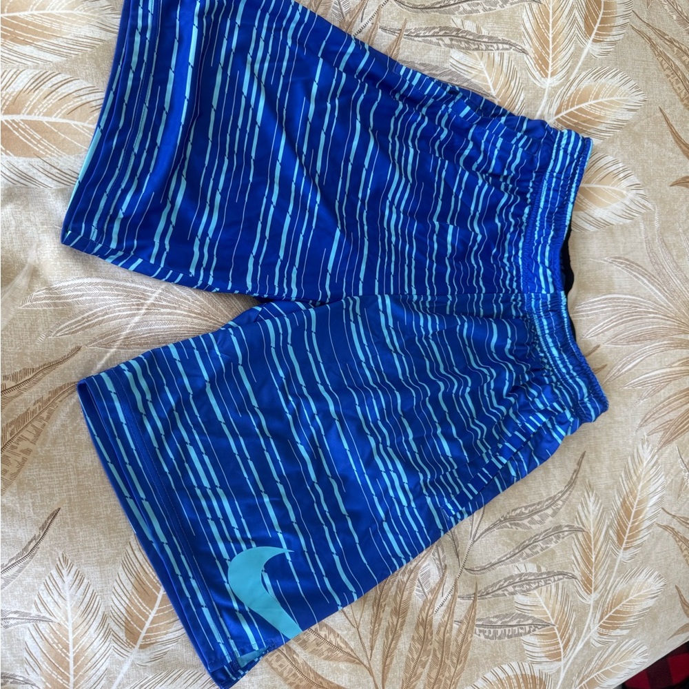 Nike Blue Athletic Shorts with Dynamic Stripes
